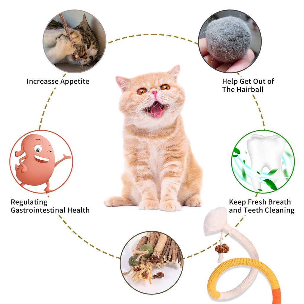 Natural Cat Chew Toys with Silvervine & Catnip, 20 Pack Indoor Cat Dental Chew Toys for Teeth Cleaning & Interactive Play