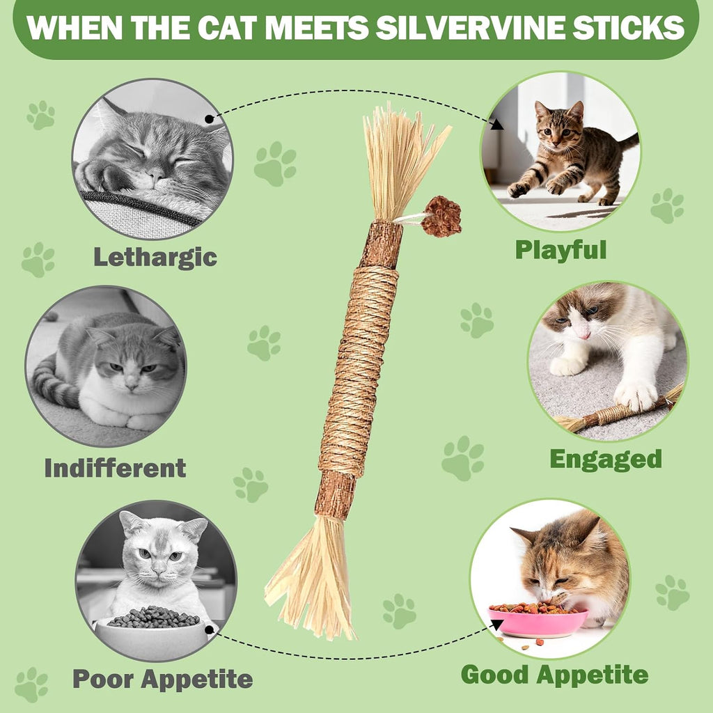 10 Pack Silvervine Cat Chew Sticks, Natural Catnip Rope Toys for Teething, Indoor Cat Enrichment & Interactive Chew Toys