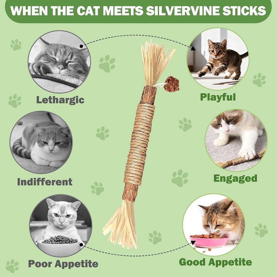 10 Pack Silvervine Cat Chew Sticks, Natural Catnip Rope Toys for Teething, Indoor Cat Enrichment & Interactive Chew Toys