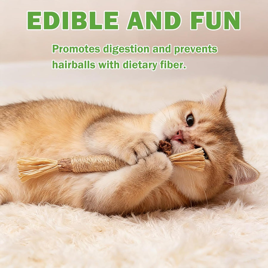 10 Pack Silvervine Cat Chew Sticks, Natural Catnip Rope Toys for Teething, Indoor Cat Enrichment & Interactive Chew Toys