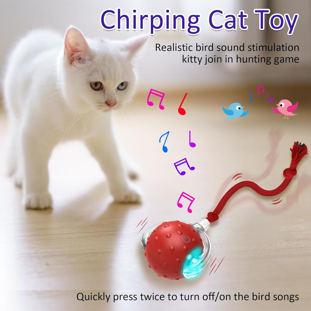 Interactive Rolling Cat Toy Ball for Indoor Cats – Rechargeable Motion-Activated Ball with Chirping Sound, 3 Play Modes for Carpet & Hard Floors, Red