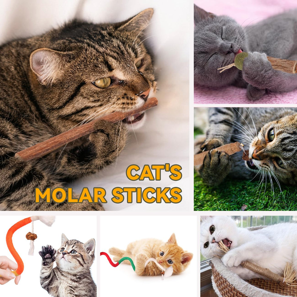 Natural Cat Chew Toys with Silvervine & Catnip, 20 Pack Indoor Cat Dental Chew Toys for Teeth Cleaning & Interactive Play