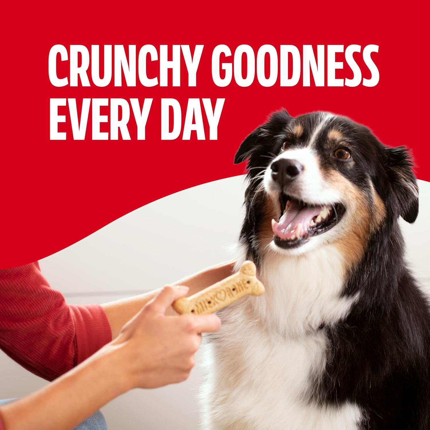 Crunchy Beef Flavor Dog Treats for Medium Dogs – 10 lb Box with Vitamins & Minerals, Original Recipe