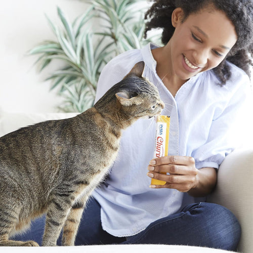 INABA Churu Lickable Creamy Purée Cat Treats Chicken Variety 20 Tubes