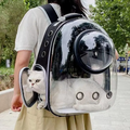 Transparent Pet Carrier Backpack with Ventilation Holes, Portable Travel Backpack for Cats & Small Dogs, 35 × 25 × 42 cm