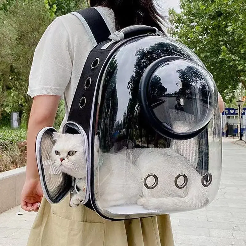 Transparent Pet Carrier Backpack with Ventilation Holes, Portable Travel Backpack for Cats & Small Dogs, 35 × 25 × 42 cm