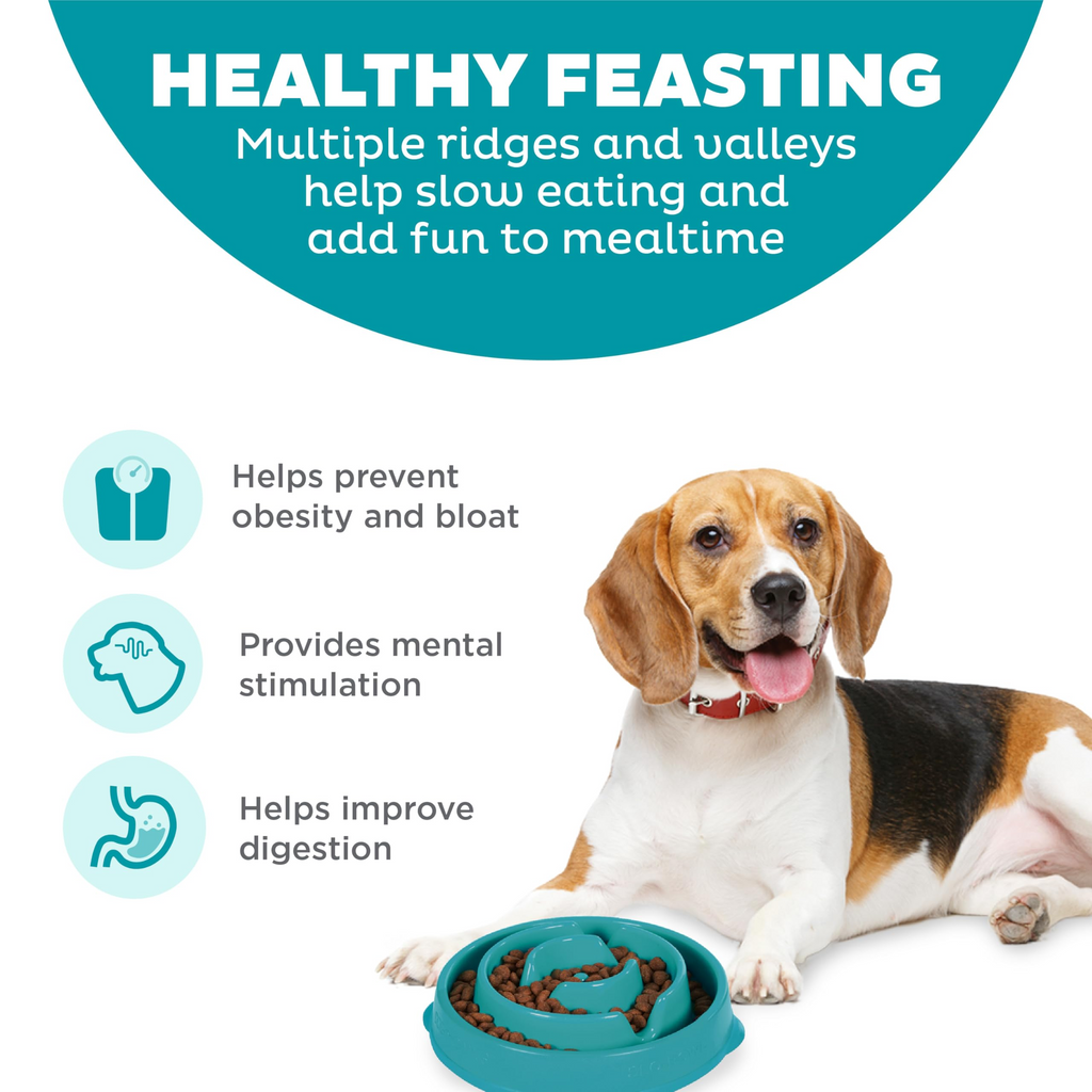 Slow Feeder Dog Bowl 2 Cup Capacity – Non-Slip Puzzle Feeding Bowl for Small & Medium Dogs and Cats, Food-Safe, Turquoise