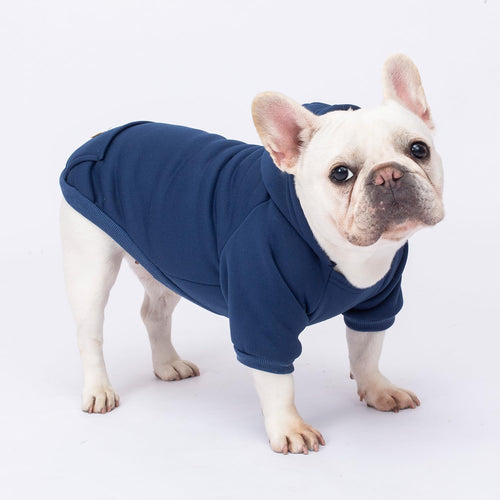 2 Pack Dog Hoodies with Fleece Lining, Warm Pet Sweatshirts for Small & Medium Dogs and Cats, Size L (13.78" Back, 18.9" Chest)