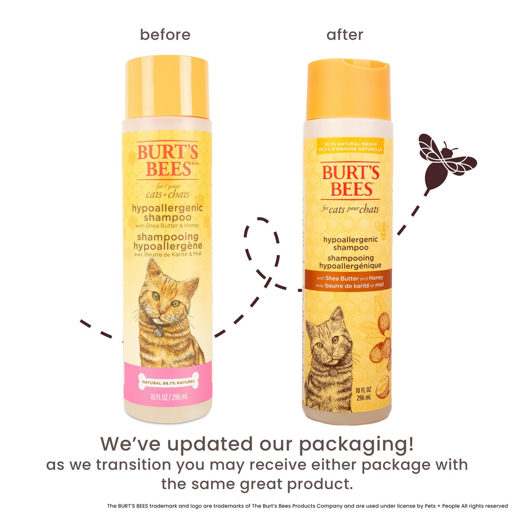 Hypoallergenic Cat Shampoo with Shea Butter and Honey, Fragrance-Free, pH Balanced Formula for Dry and Sensitive Skin, 10 fl oz