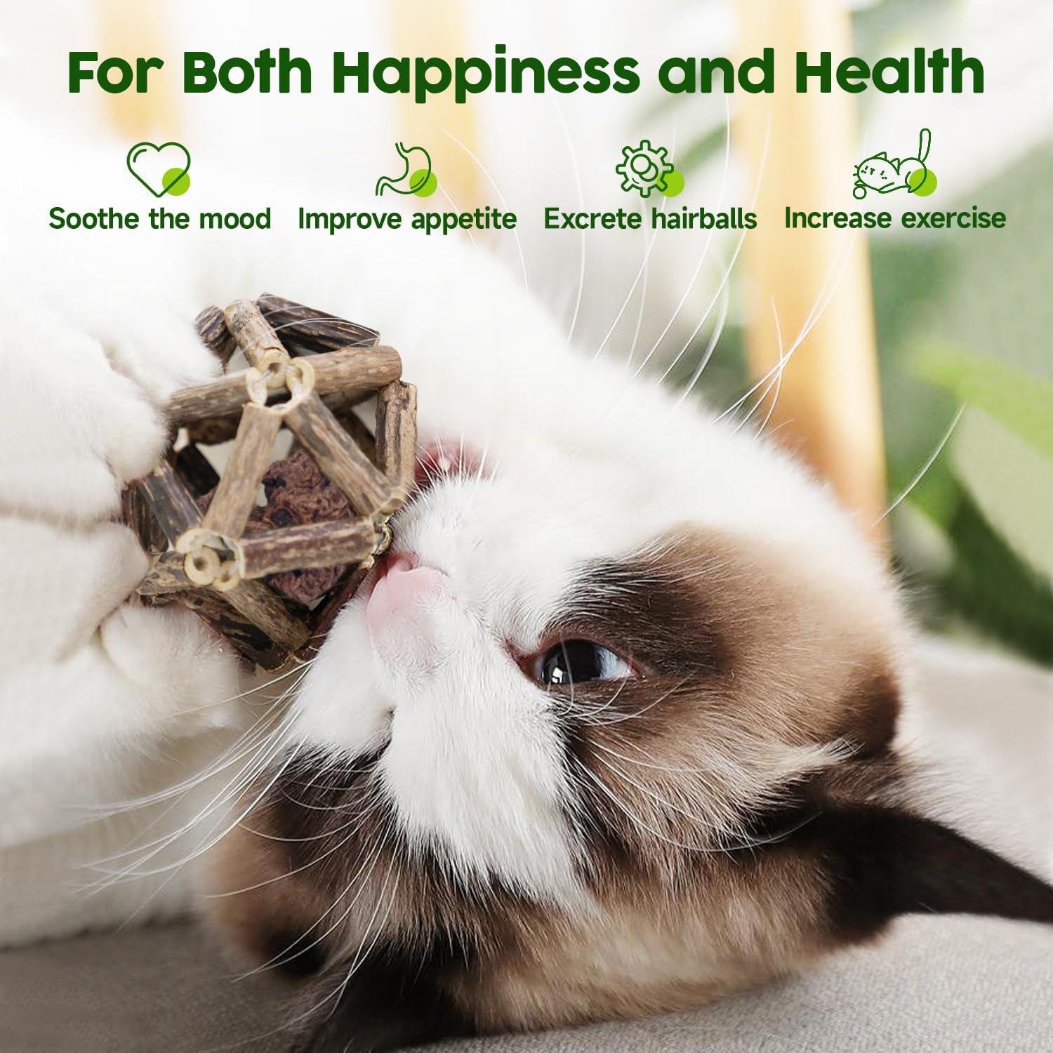 3 Pack Natural Silvervine & Catnip Cat Chew Toys with Bell Ball, Hand-Woven Cage Balls for Indoor Cats and Kittens