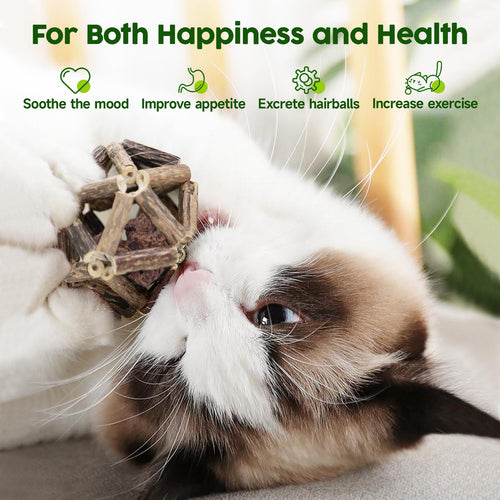 3 Pack Natural Silvervine & Catnip Cat Chew Toys with Bell Ball, Hand-Woven Cage Balls for Indoor Cats and Kittens