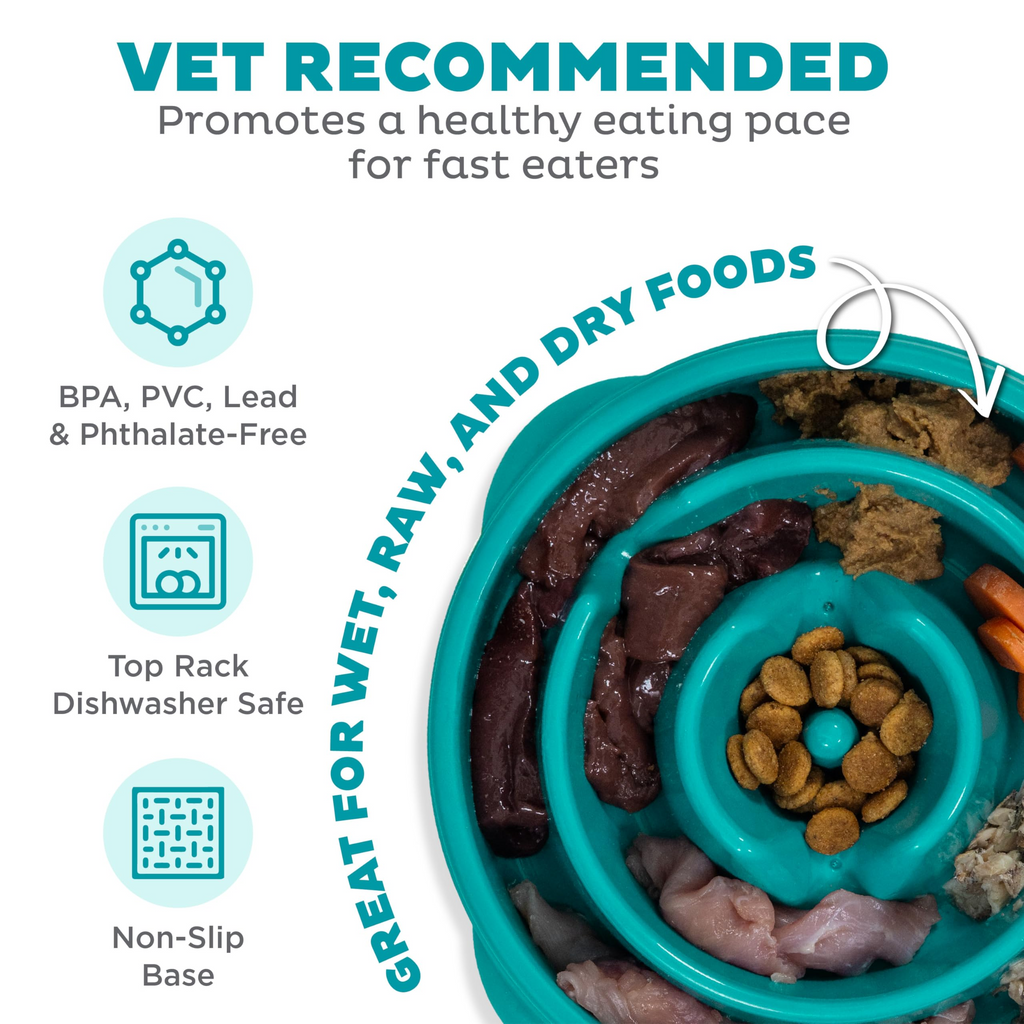 Slow Feeder Dog Bowl 2 Cup Capacity – Non-Slip Puzzle Feeding Bowl for Small & Medium Dogs and Cats, Food-Safe, Turquoise