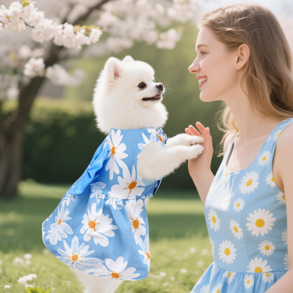 4 Pack Cute Pet Dresses for Small and Medium Dogs & Cats, Soft Breathable Puppy Skirts with Lace and Front Buttons