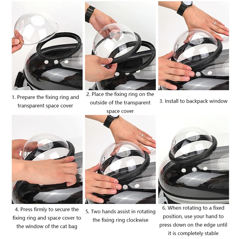 Transparent Pet Carrier Backpack with Ventilation Holes, Portable Travel Backpack for Cats & Small Dogs, 35 × 25 × 42 cm