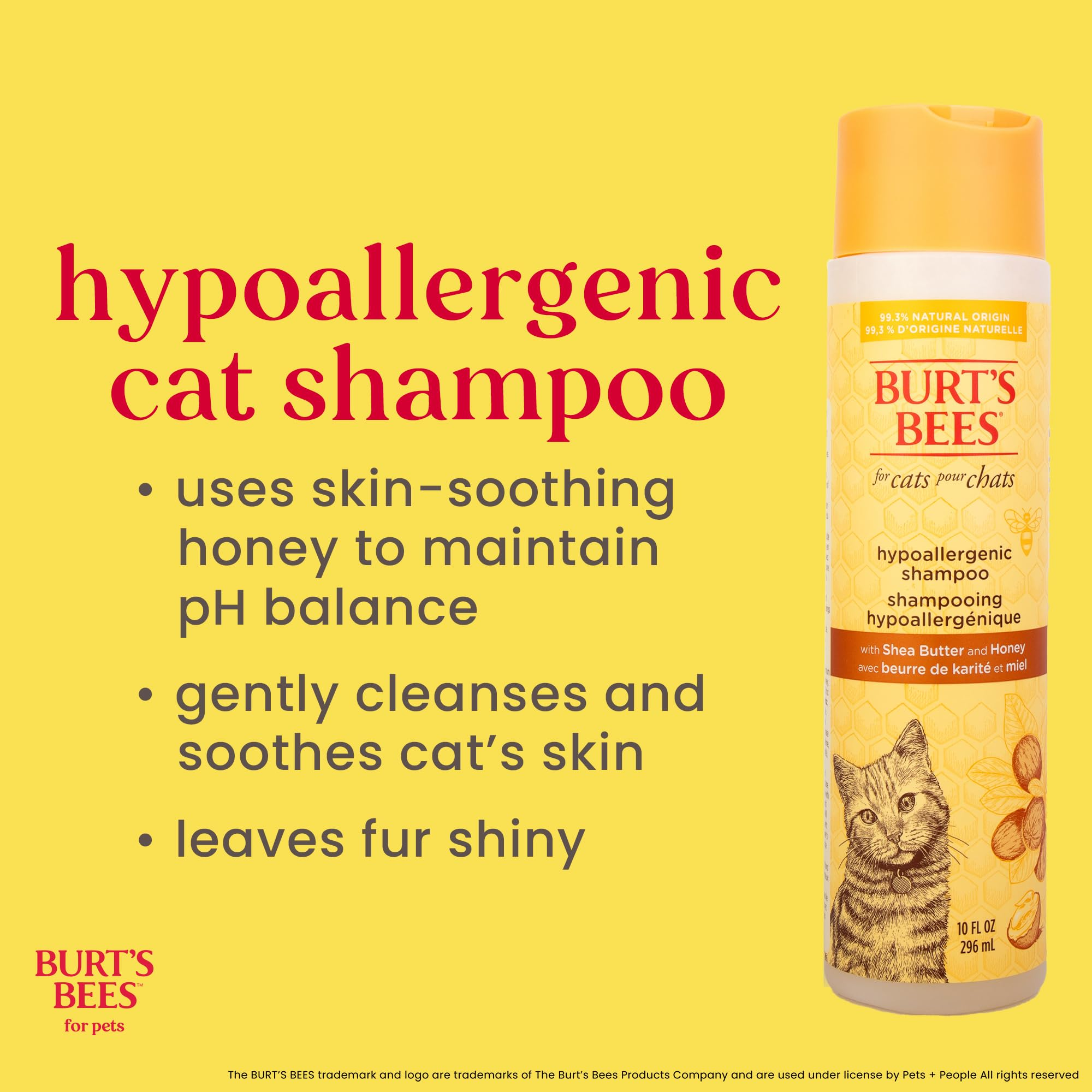 Hypoallergenic Cat Shampoo with Shea Butter and Honey, Fragrance-Free, pH Balanced Formula for Dry and Sensitive Skin, 10 fl oz