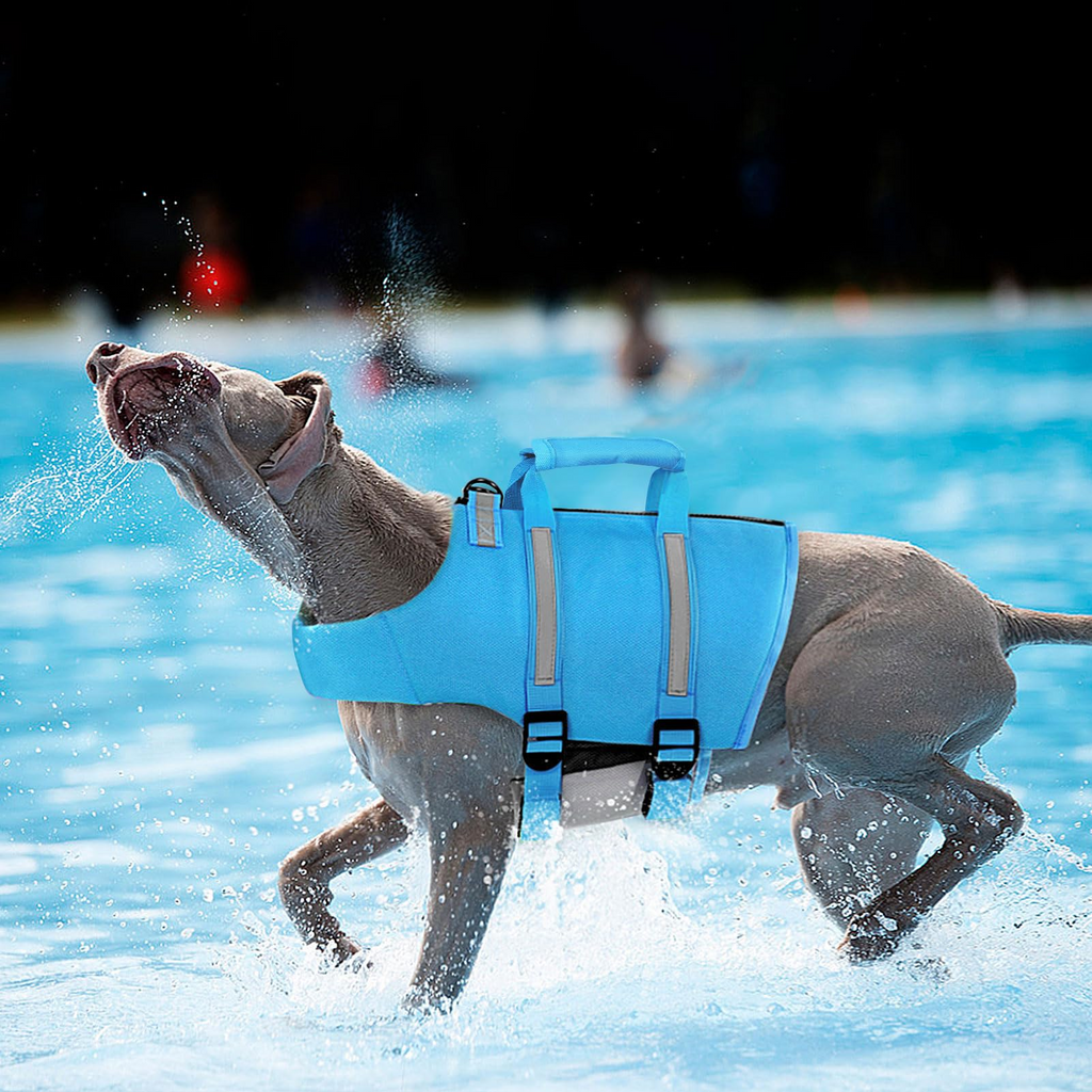 Small Dog Life Jacket for Swimming & Boating – High Buoyancy Adjustable Pet Life Vest with Back Zipper, Rescue Handle & Reflective Straps, Blue S