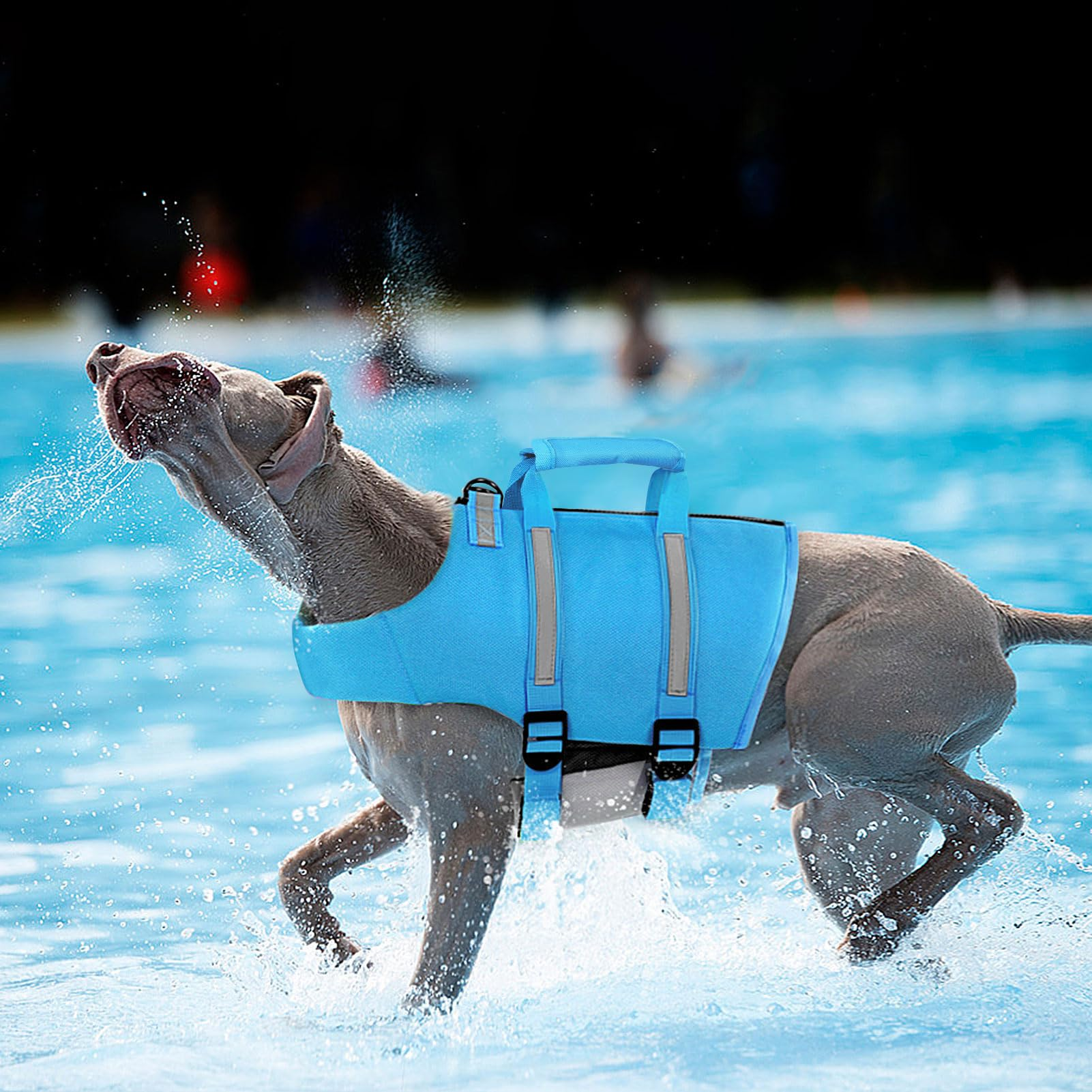 Small Dog Life Jacket for Swimming & Boating – High Buoyancy Adjustable Pet Life Vest with Back Zipper, Rescue Handle & Reflective Straps, Blue S