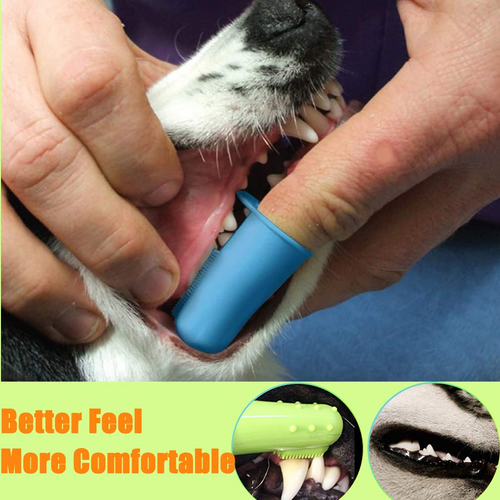 10-Pack Pet Dog Toothbrush Kit – Triple Head, Double Head & Finger Toothbrush Set for Dogs, Cats & Pet Oral Care