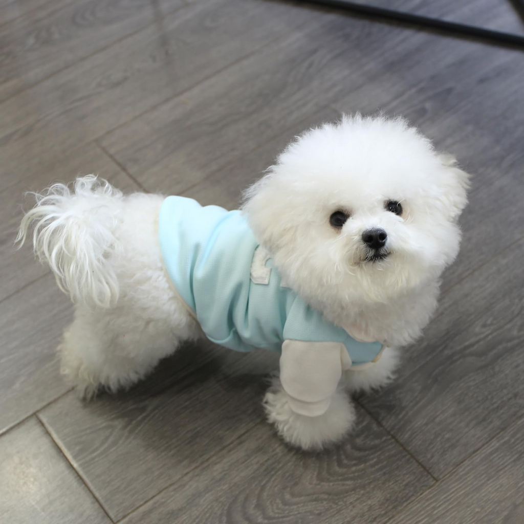 4 Pack Dog Polo Shirts for Small Dogs and Cats, Breathable Croxin Fabric Pet T-Shirts with Button-Up Collar, Size M