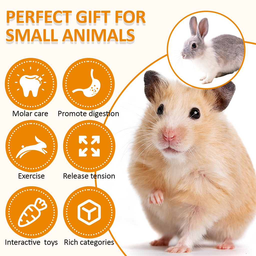 Hamster Chew Toy Set – Natural Wood Small Animal Toys with Apple Wood, Timothy Hay, Bridge, Swing & Cage Accessories for Hamsters, Guinea Pigs & Rodents