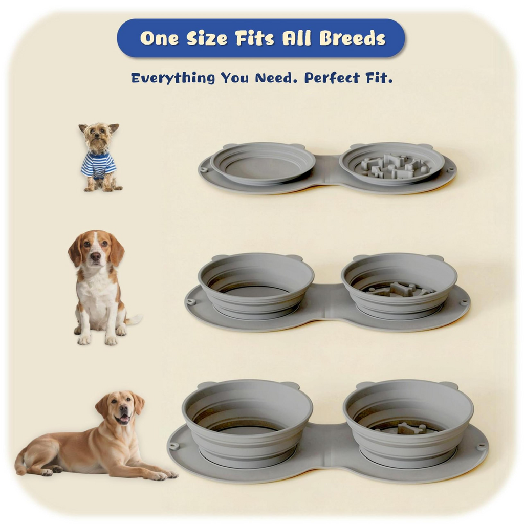 2-in-1 Collapsible Silicone Dog Travel Bowl – Foldable Pet Food & Water Bowl with Carabiner, Leak-Resistant Design for Small & Medium Dogs