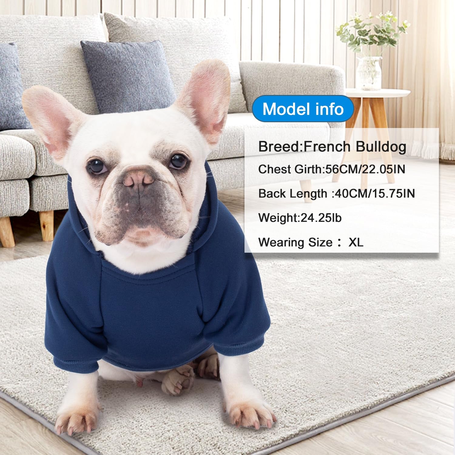 2 Pack Dog Hoodies with Fleece Lining, Warm Pet Sweatshirts for Small & Medium Dogs and Cats, Size L (13.78" Back, 18.9" Chest)