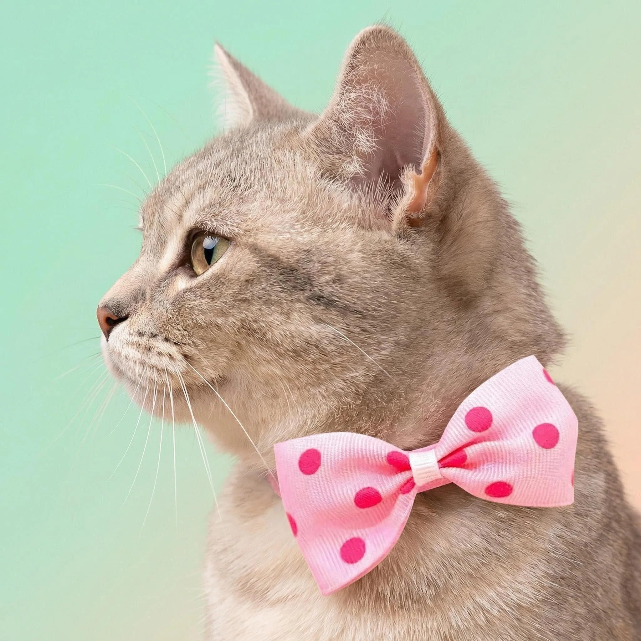 Adjustable Dot Bow Tie Pet Collar, Safety Neck Collar for Dogs and Cats