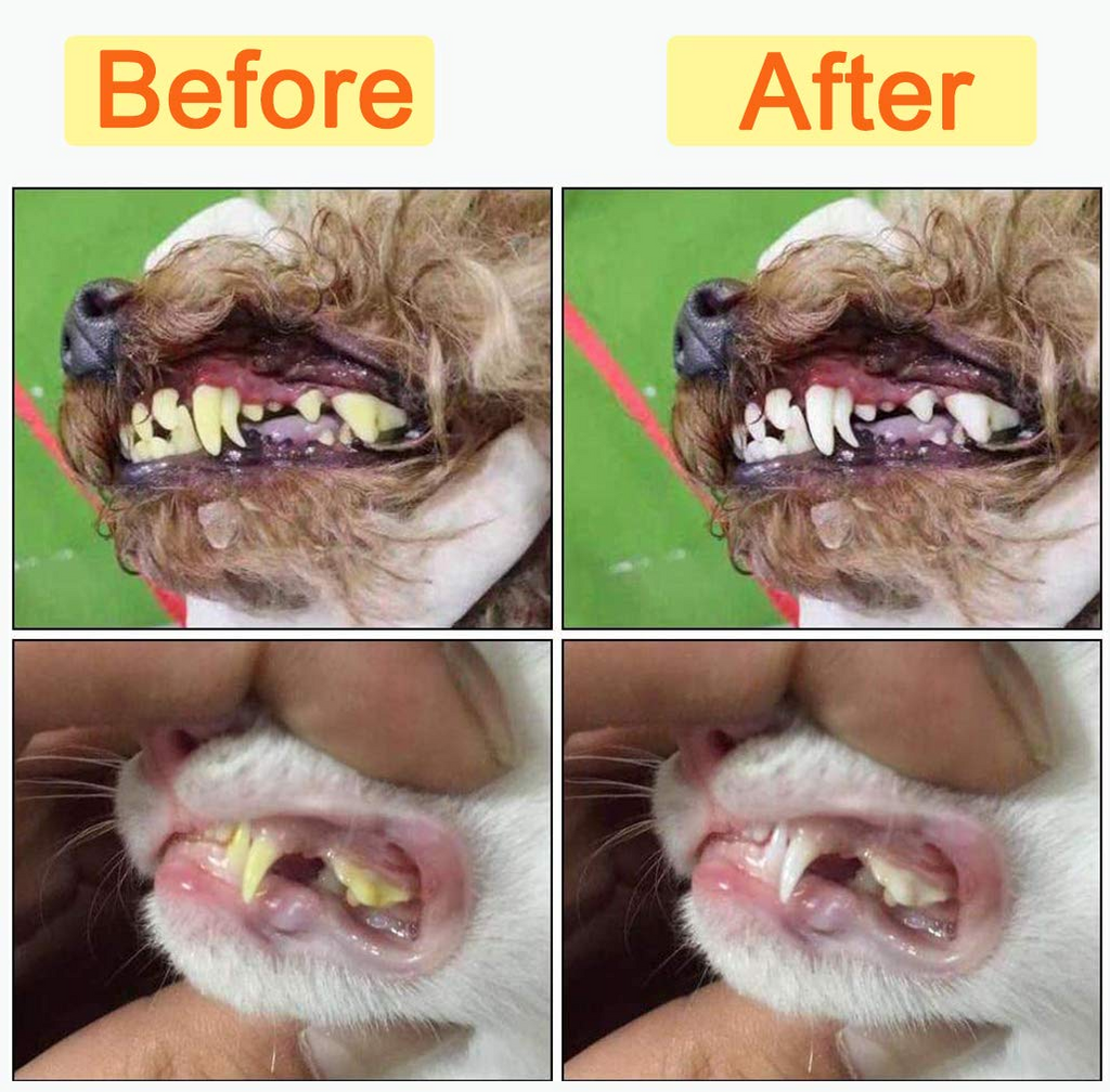 10-Pack Pet Dog Toothbrush Kit – Triple Head, Double Head & Finger Toothbrush Set for Dogs, Cats & Pet Oral Care