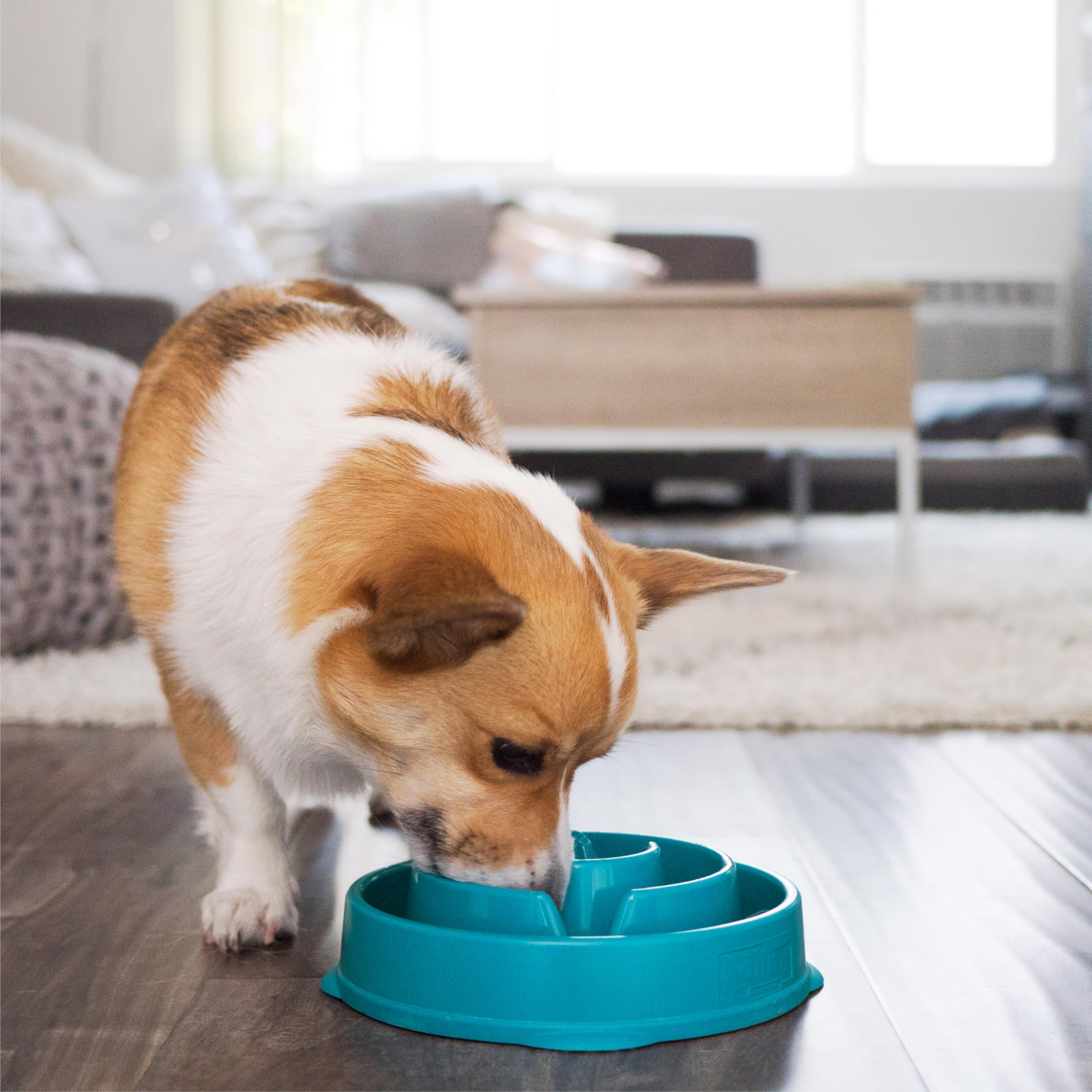 Slow Feeder Dog Bowl 2 Cup Capacity – Non-Slip Puzzle Feeding Bowl for Small & Medium Dogs and Cats, Food-Safe, Turquoise