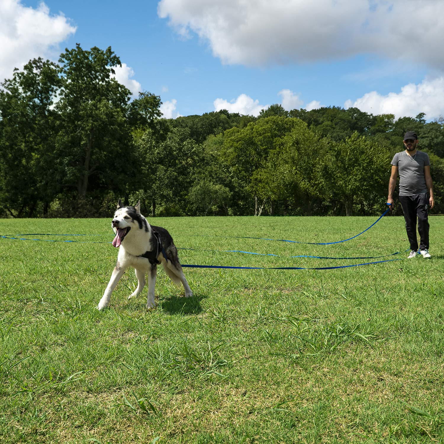 Long Dog Training Leash 30 ft, Nylon Recall Training Lead with Swivel Bolt Snap, 3/4 in Wide for Obedience Training, Hiking, Camping & Outdoor Play