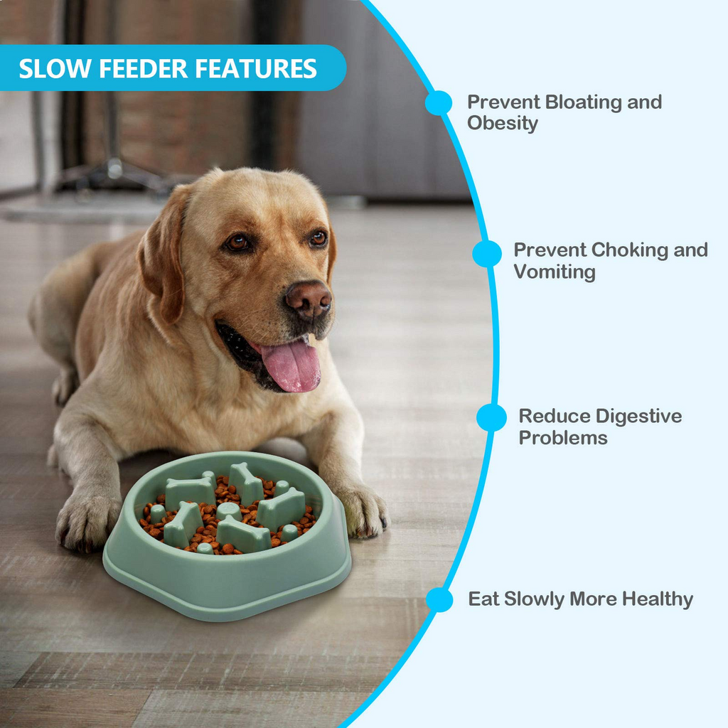 Slow Feeder Dog Puzzle Bowl – Anti-Choking Interactive Feeding Bowl with Non-Slip Base for Small & Medium Dogs, Green
