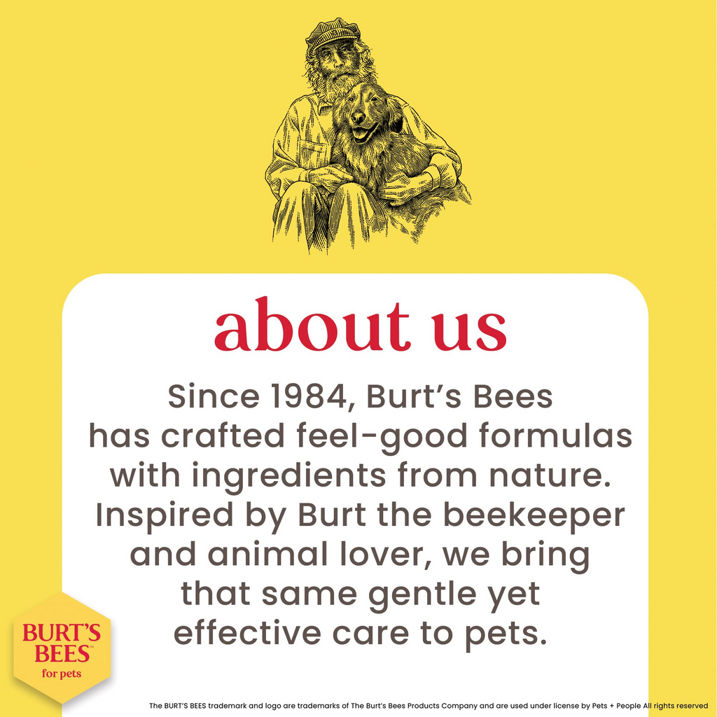 Hypoallergenic Cat Shampoo with Shea Butter and Honey, Fragrance-Free, pH Balanced Formula for Dry and Sensitive Skin, 10 fl oz