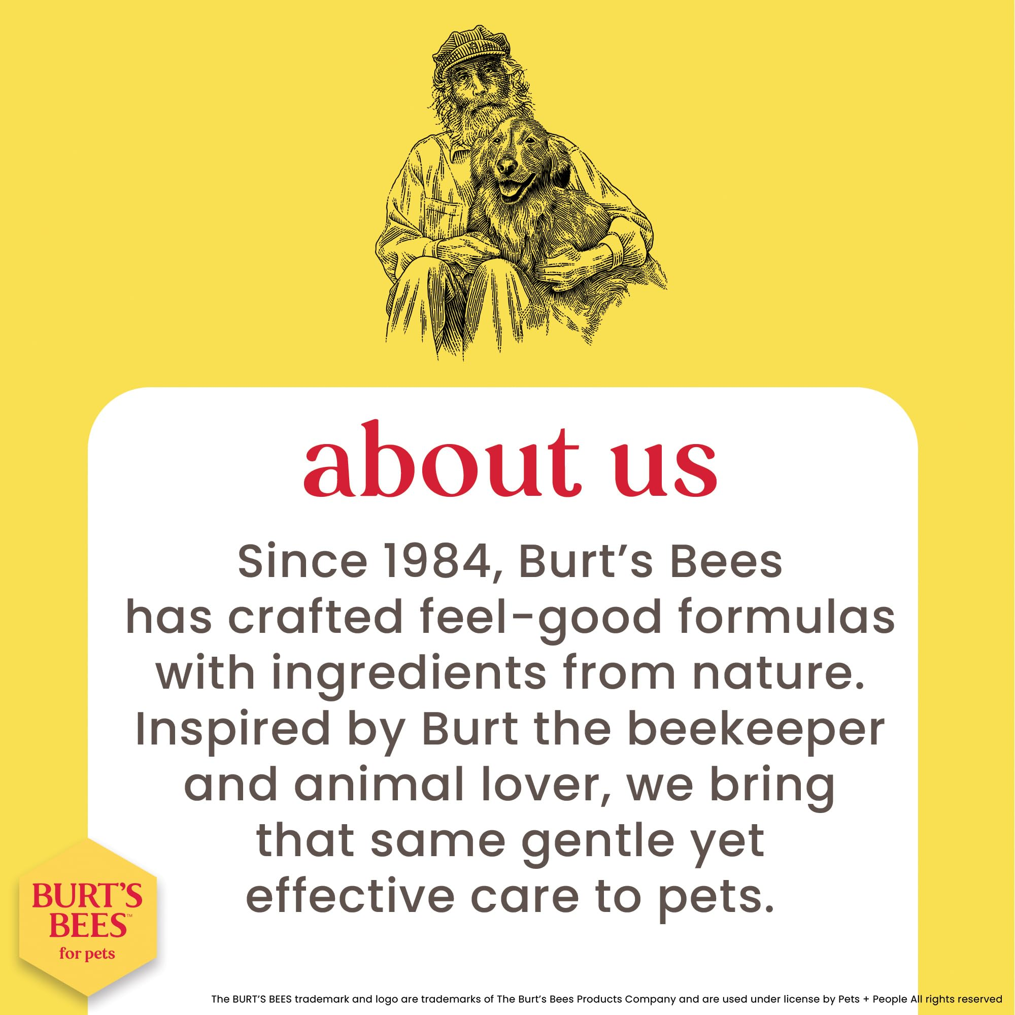 Hypoallergenic Cat Shampoo with Shea Butter and Honey, Fragrance-Free, pH Balanced Formula for Dry and Sensitive Skin, 10 fl oz